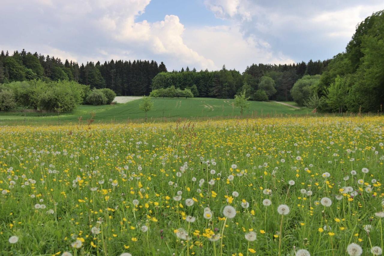 Heumanns Blockhaeuser Am Wald Hotel Pottenstein Eksteriør billede